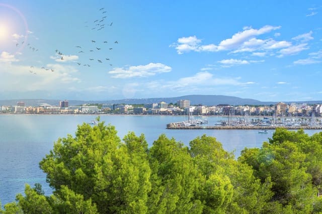 8 makuuhuone Huvila myytävänä paikassa Son Veri Nou, Llucmajor mukana uima-altaan 
autotalli - 4 775 000 € (Ref: 6459177)