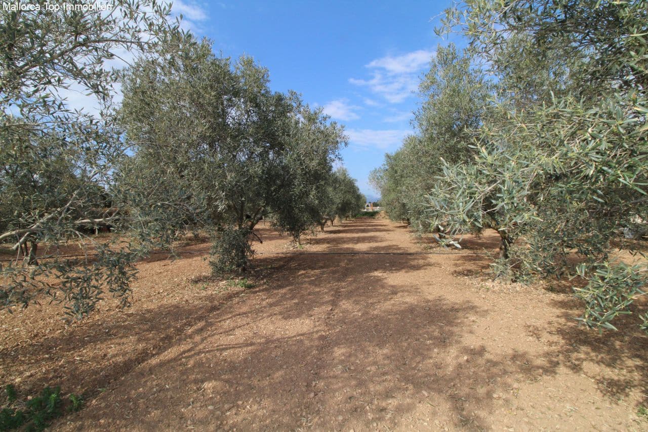 4 sovrum Finca/Hus på landet till salu i Son Ferriol med pool garage - 1 840 000 € (Ref: 6459201)