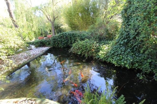 6 soveværelse Finca/Landehus til salg i Felanitx med swimmingpool garage - € 3.500.000 (Ref: 6459207)