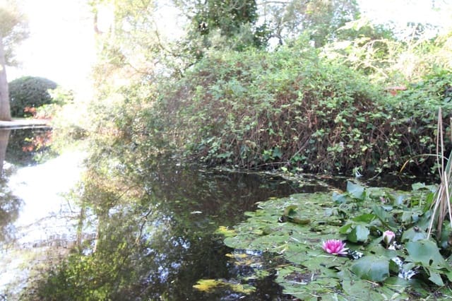 6 soveværelse Finca/Landehus til salg i Felanitx med swimmingpool garage - € 3.500.000 (Ref: 6459207)