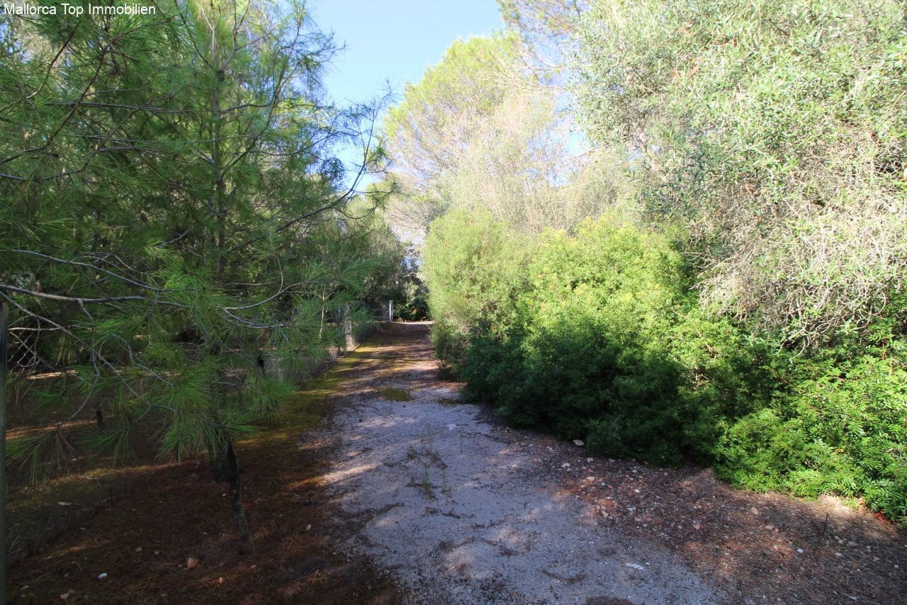 6 soveværelse Finca/Landehus til salg i Felanitx med swimmingpool garage - € 3.500.000 (Ref: 6459207)