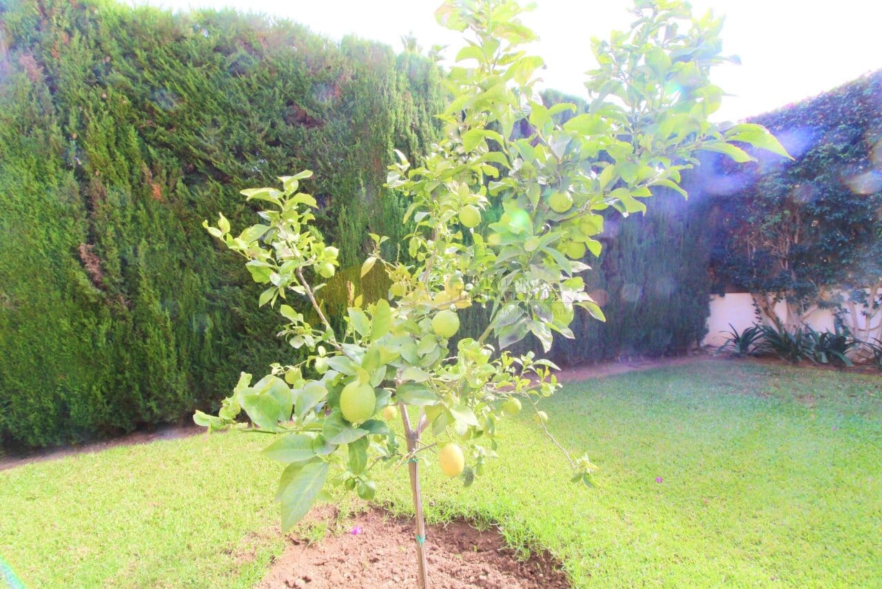 4 sypialnia Willa na sprzedaż w Maioris Decima z basenem garażem - 1 800 000 € (Ref: 7883653)