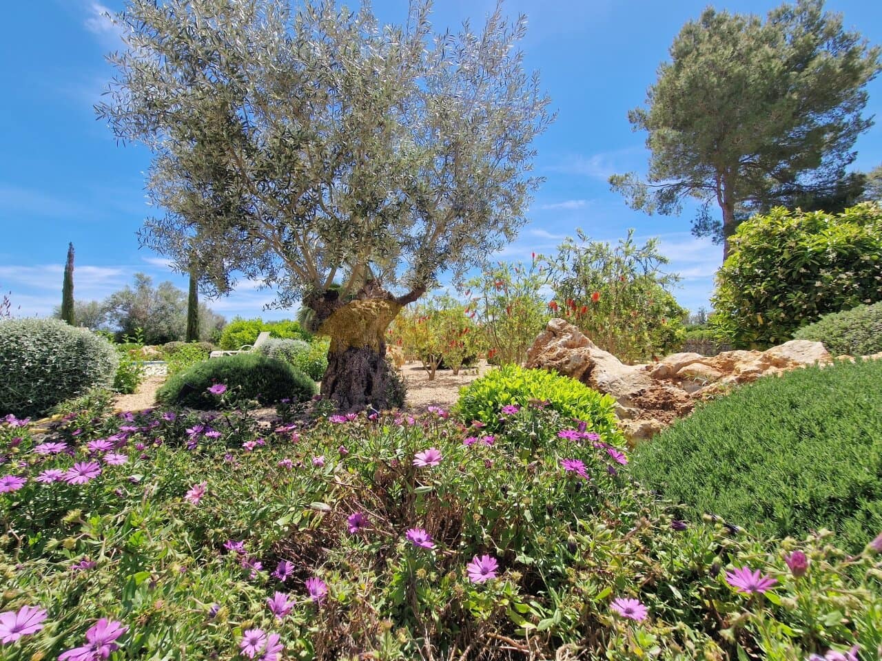 4 quarto Quinta/Casa Rural para venda em Son Servera com piscina garagem - 3 200 000 € (Ref: 9401397)