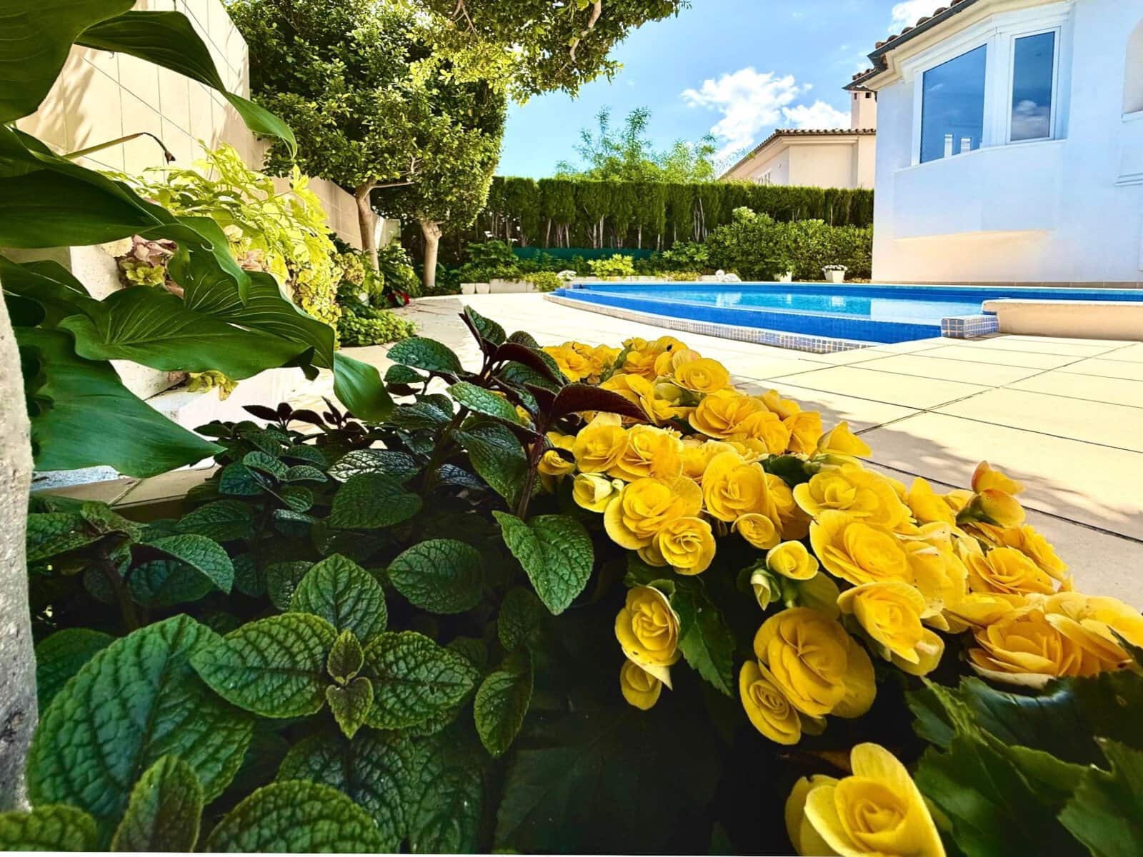 5 bedroom Villa for sale in Palma de Mallorca with pool garage - € 1,800,000 (Ref: 9401420)