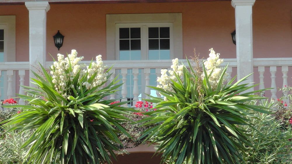 Chalet de 8 habitaciones en Santa Margalida en venta con piscina garaje - 4.600.000 € (Ref: 9401436)