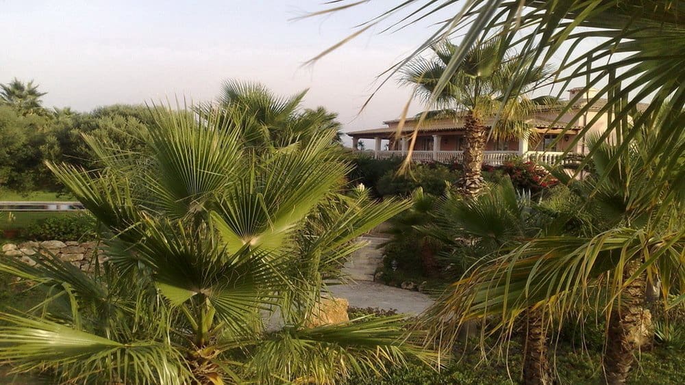 Chalet de 8 habitaciones en Santa Margalida en venta con piscina garaje - 4.600.000 € (Ref: 9401436)