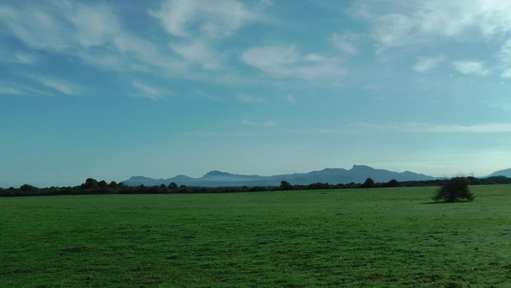 Chalet de 8 habitaciones en Santa Margalida en venta con piscina garaje - 4.600.000 € (Ref: 9401436)