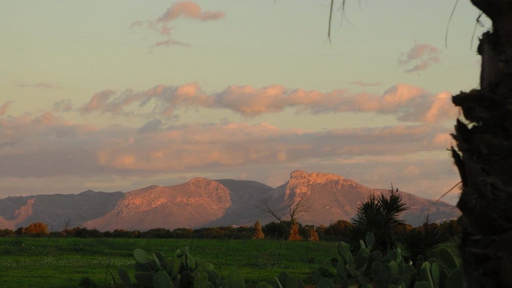 Chalet de 8 habitaciones en Santa Margalida en venta con piscina garaje - 4.600.000 € (Ref: 9401436)