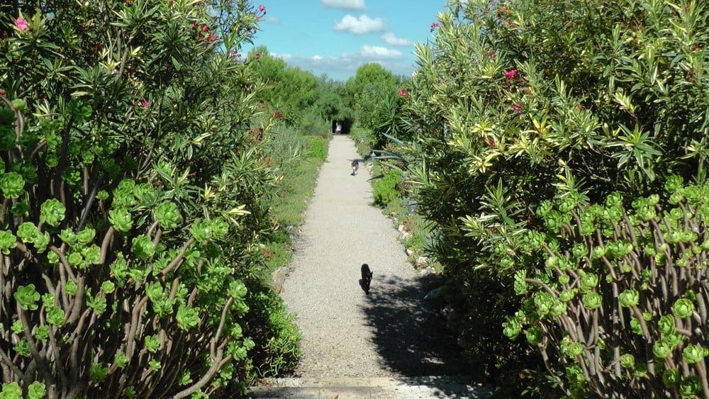 Chalet de 8 habitaciones en Santa Margalida en venta con piscina garaje - 4.600.000 € (Ref: 9401436)