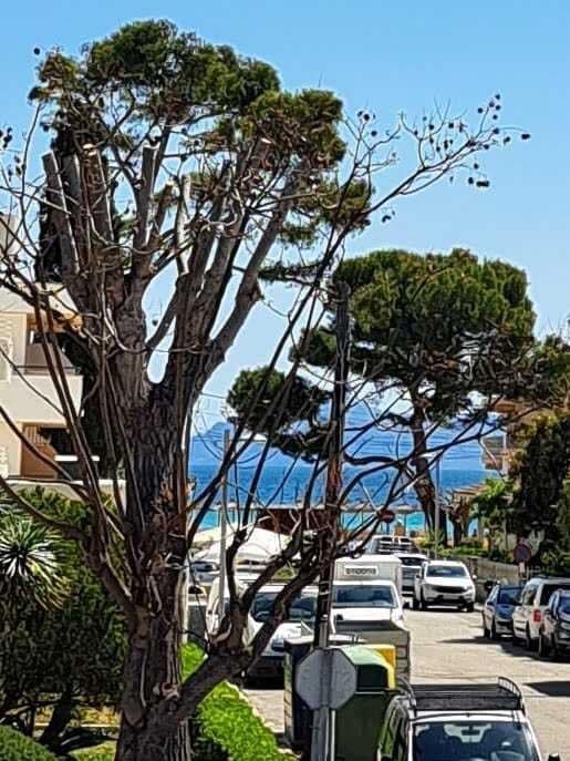 Chalet de 6 habitaciones en Alcúdia en venta con garaje - 875.000 € (Ref: 9401459)