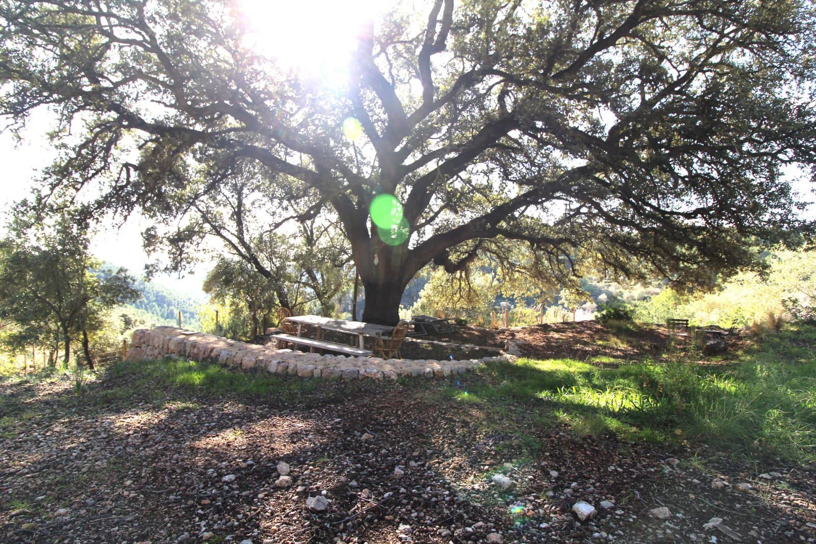 4 Zimmer Finca/Landgut zu verkaufen in Esporles mit Pool Garage - 2.950.000 € (Ref: 9401472)