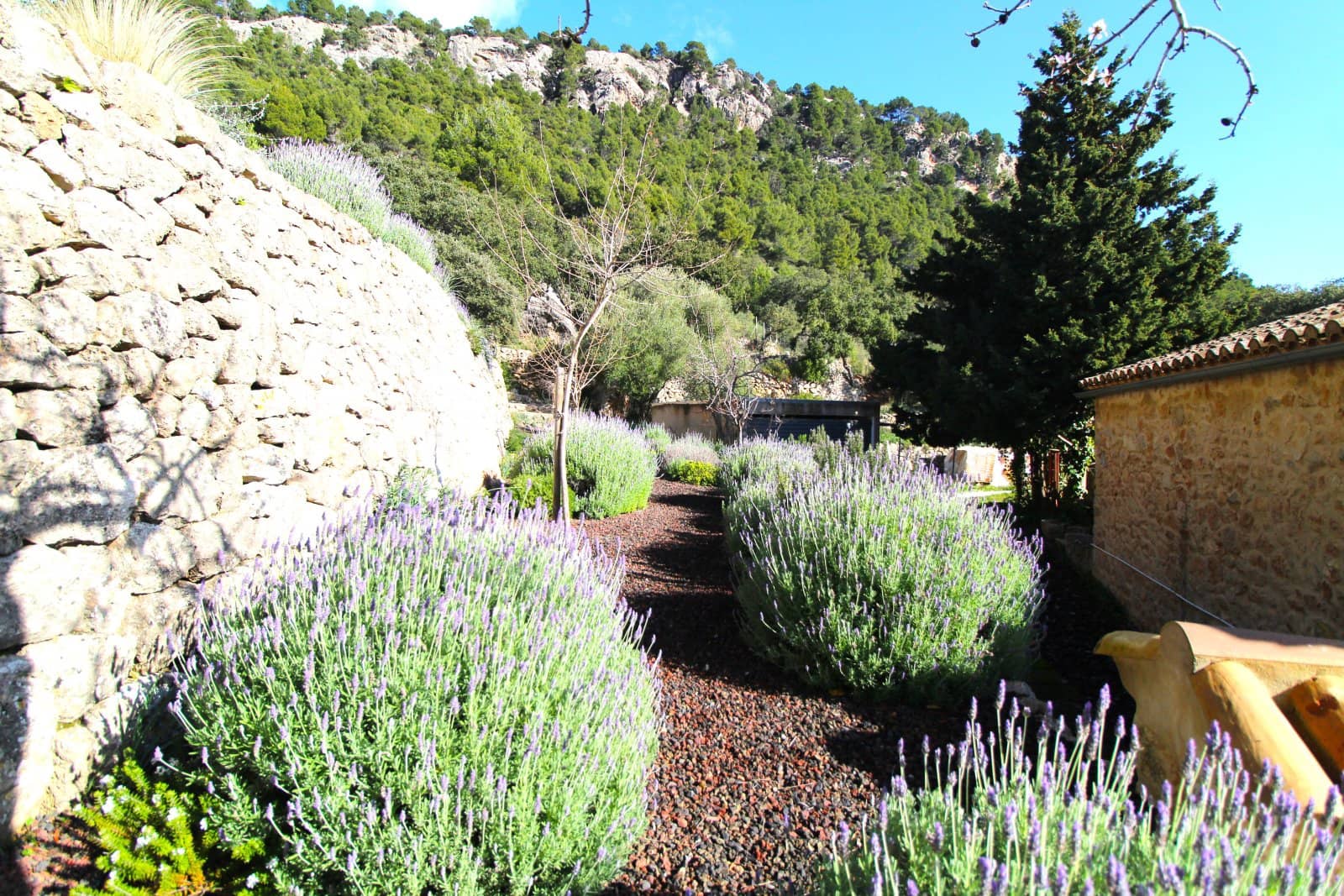 4 Zimmer Finca/Landgut zu verkaufen in Esporles mit Pool Garage - 2.950.000 € (Ref: 9401472)