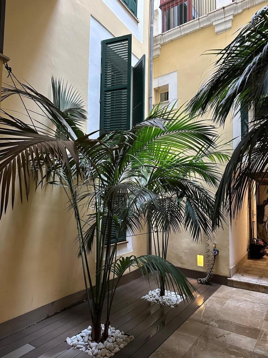 2 chambre Appartement à vendre à Palma de Mallorca - 740 000 € (Ref: 9401480)