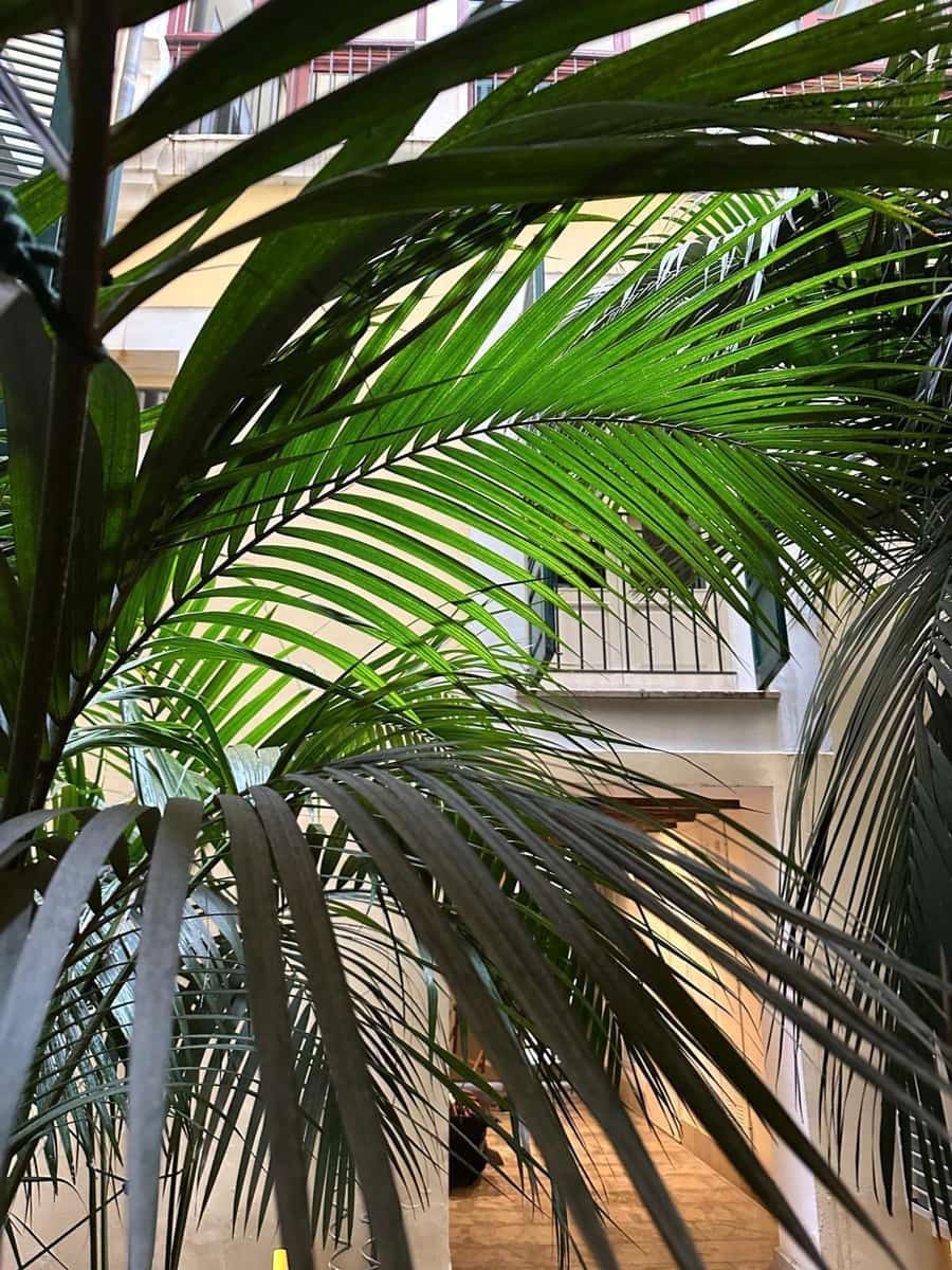 2 chambre Appartement à vendre à Palma de Mallorca - 740 000 € (Ref: 9401480)