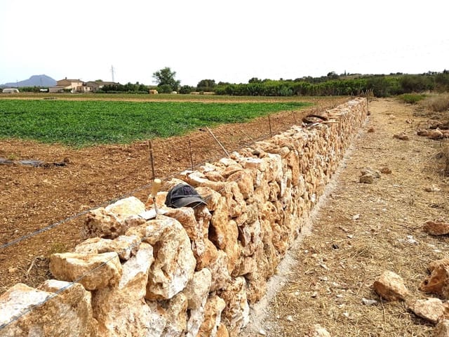 3 makuuhuone Maalaistalo myytävänä paikassa Manacor mukana uima-altaan 
autotalli - 1 900 000 € (Ref: 9401482)