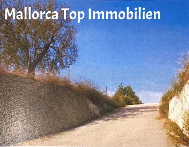 Area Edificabile in vendita in Sineu - 150.000 € (Rif: 9401516)