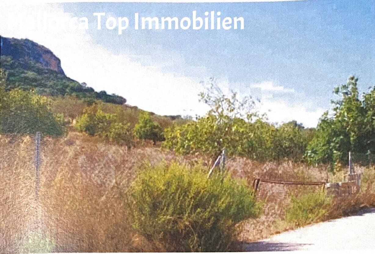 Building Plot for sale in Sineu - € 150,000 (Ref: 9401516)