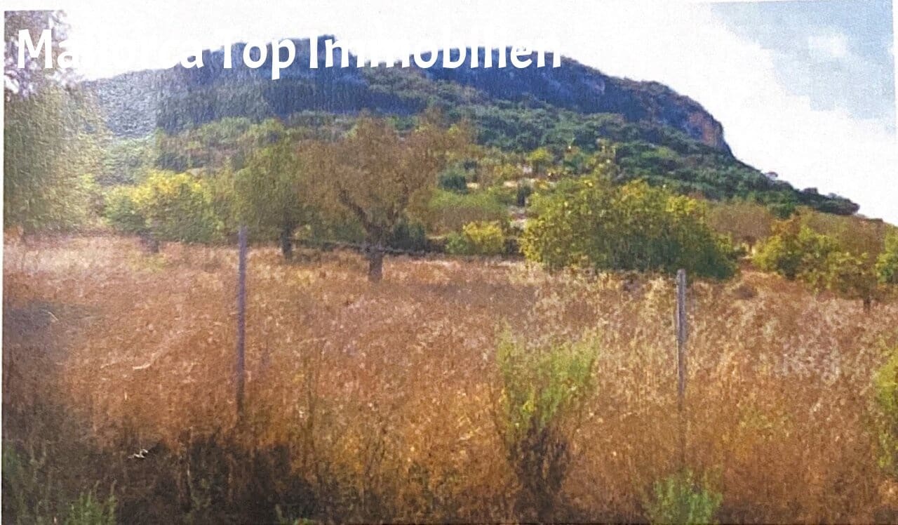 Building Plot for sale in Sineu - € 150,000 (Ref: 9401516)