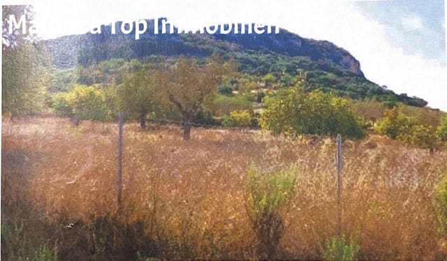 Area Edificabile in vendita in Sineu - 150.000 € (Rif: 9401516)