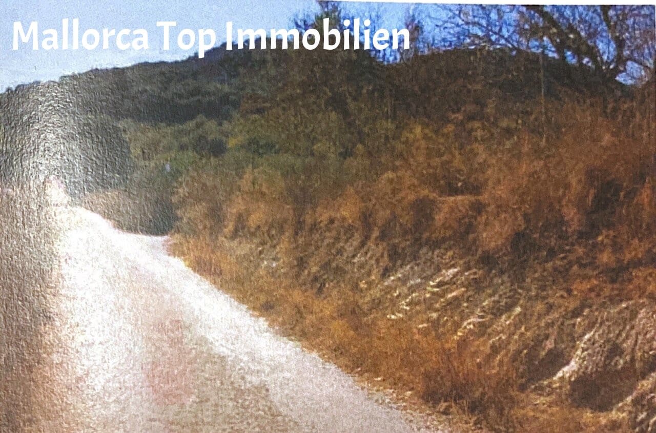 Building Plot for sale in Sineu - € 150,000 (Ref: 9401516)