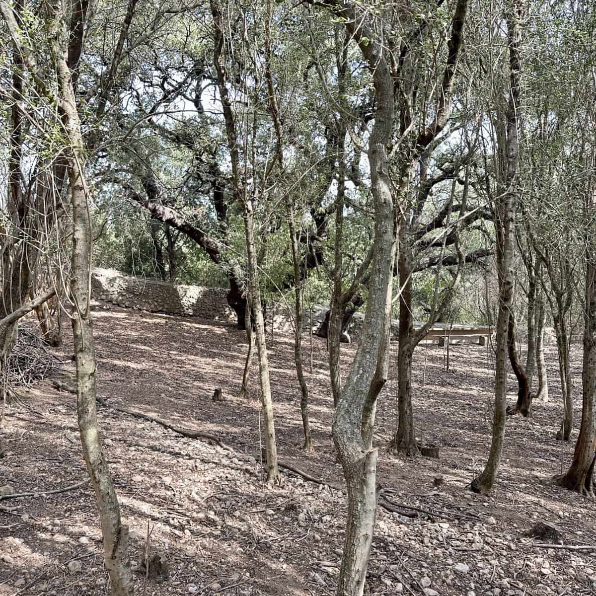 Finca/Casa Rural de 8 habitaciones en Campanet en venta con piscina garaje - 2.750.000 € (Ref: 9401518)