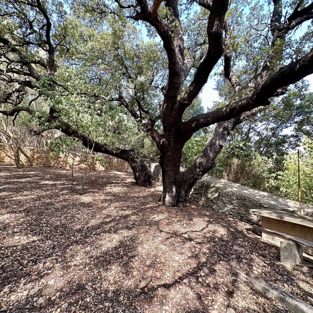 Finca/Casa Rural de 8 habitaciones en Campanet en venta con piscina garaje - 2.750.000 € (Ref: 9401518)