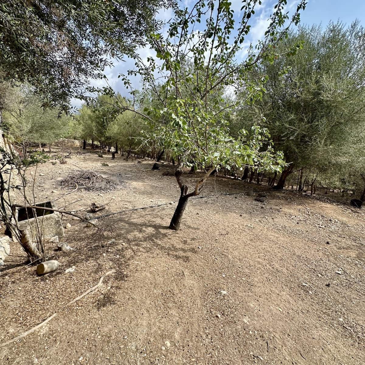 Finca/Casa Rural de 8 habitaciones en Campanet en venta con piscina garaje - 2.750.000 € (Ref: 9401518)