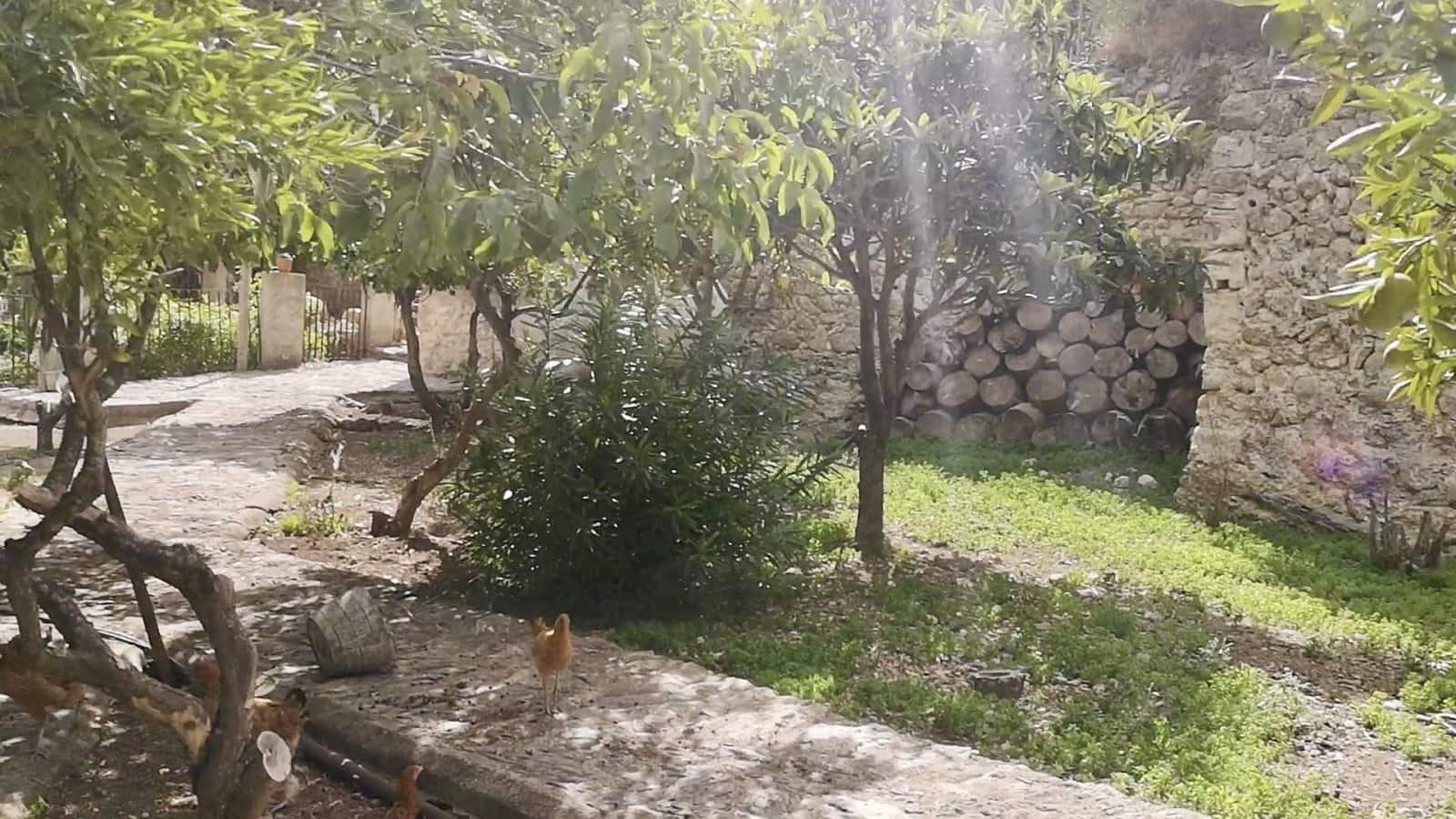 Finca/Casa Rural de 8 habitaciones en Campanet en venta con piscina garaje - 2.750.000 € (Ref: 9401518)