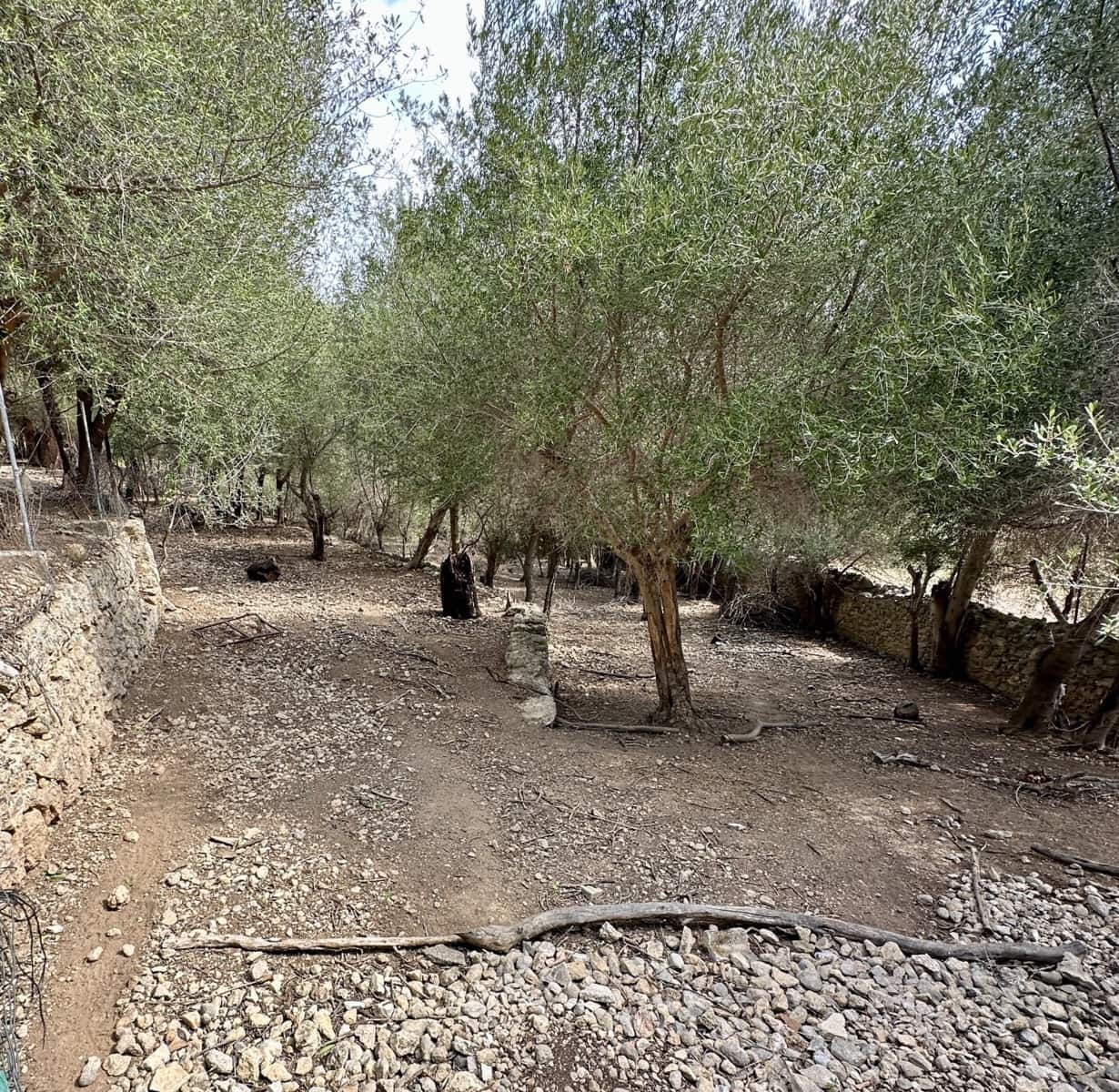 Finca/Casa Rural de 8 habitaciones en Campanet en venta con piscina garaje - 2.750.000 € (Ref: 9401518)