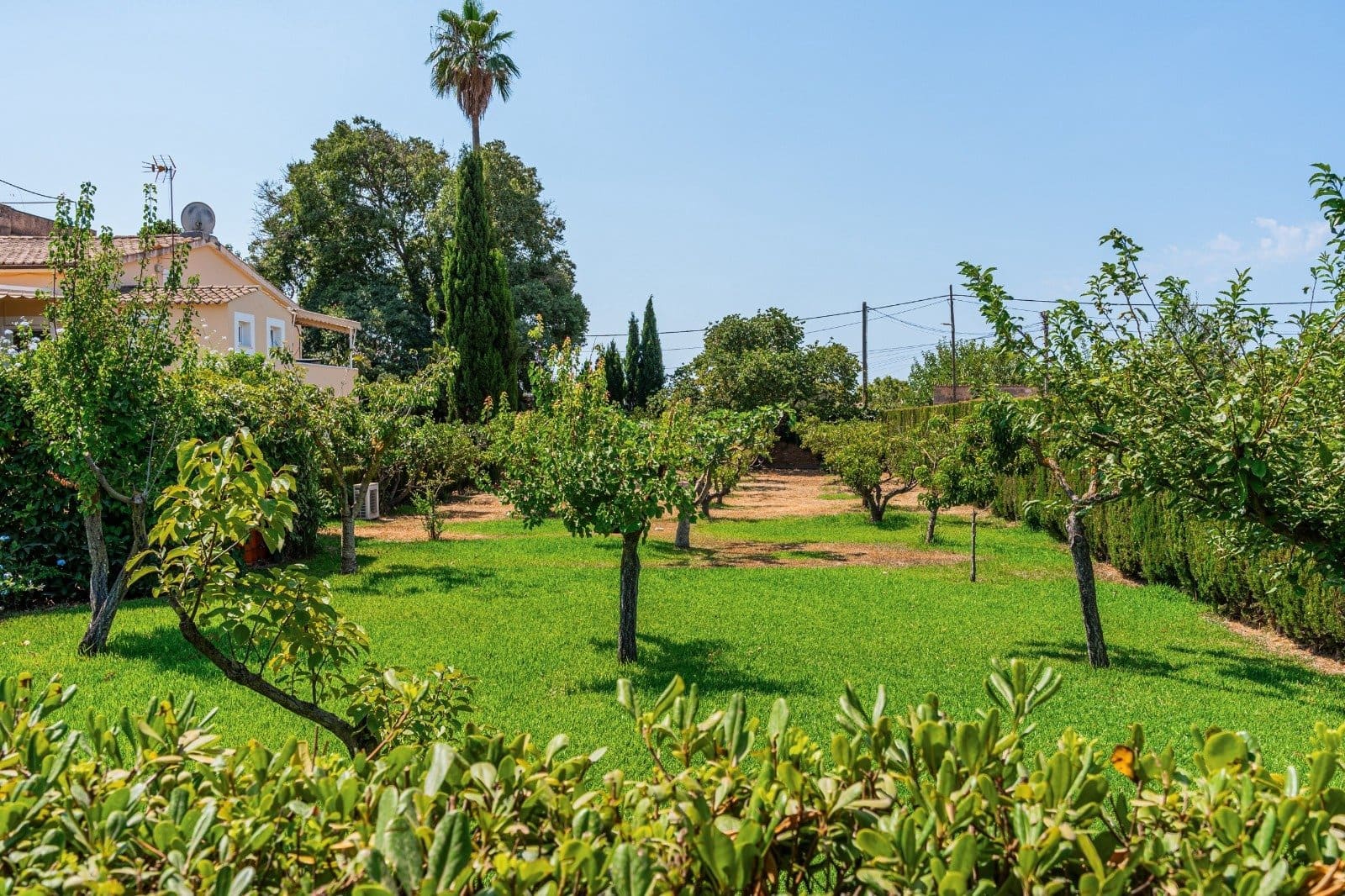 Finca/Casa Rural de 4 habitaciones en Palma de Mallorca en venta con piscina garaje - 1.875.000 € (Ref: 9401542)