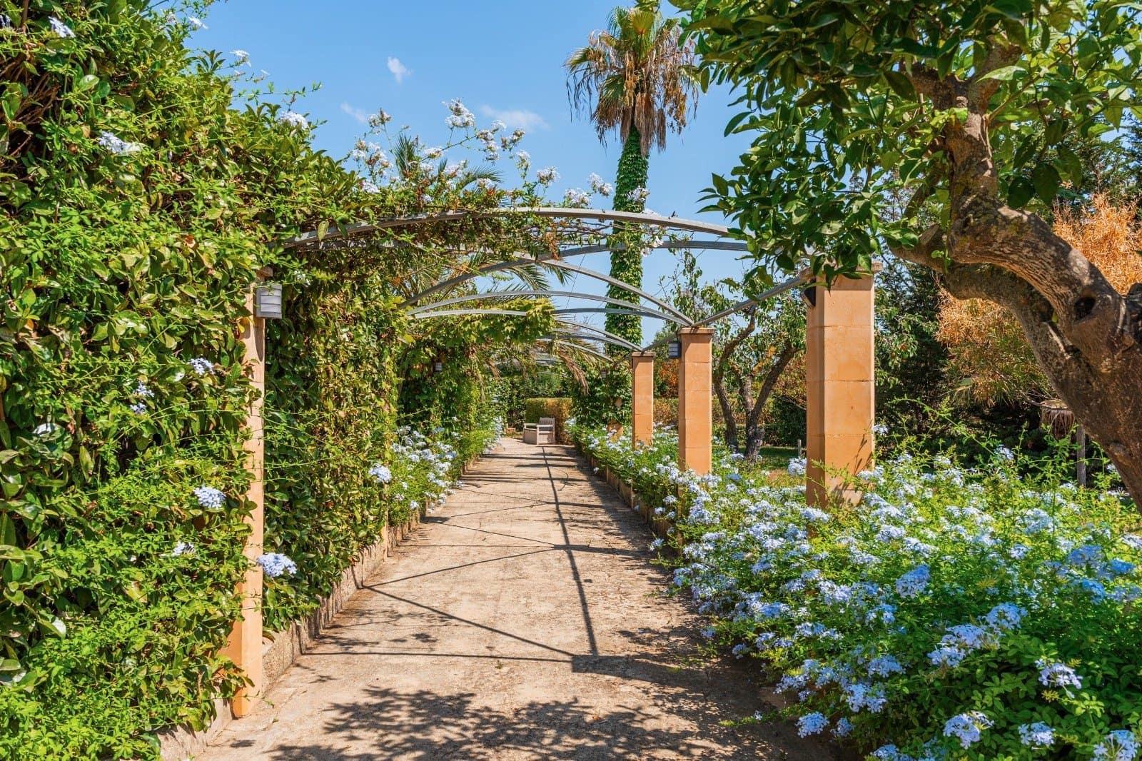 Finca/Casa Rural de 4 habitaciones en Palma de Mallorca en venta con piscina garaje - 1.875.000 € (Ref: 9401542)