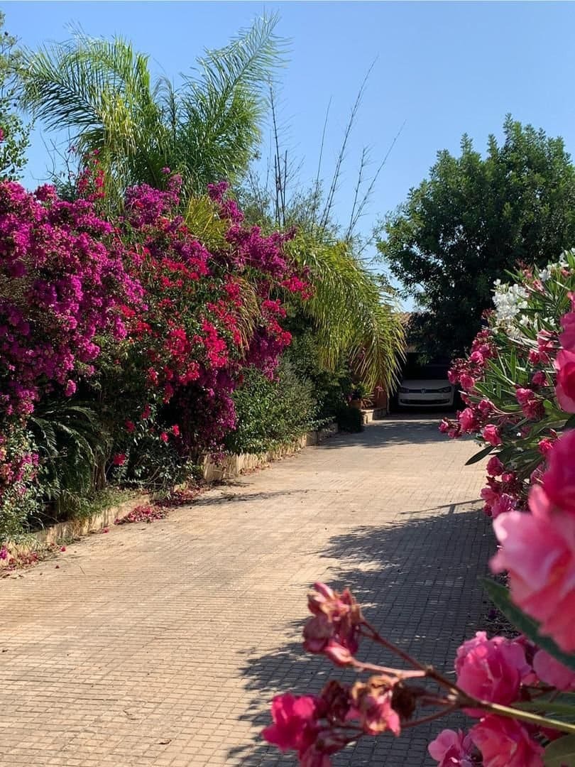 6 camera da letto Finca/Casa di Campagna in vendita in Marratxi con piscina garage - 1.290.000 € (Rif: 9401558)