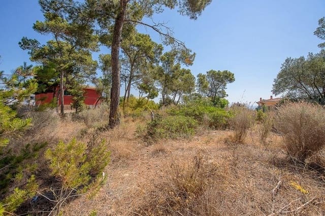 Terrain à Bâtir à vendre à Cala Vinyes / Cala Vinyas / Cala Viñas, Calvià - 1 190 000 € (Ref: 9401560)