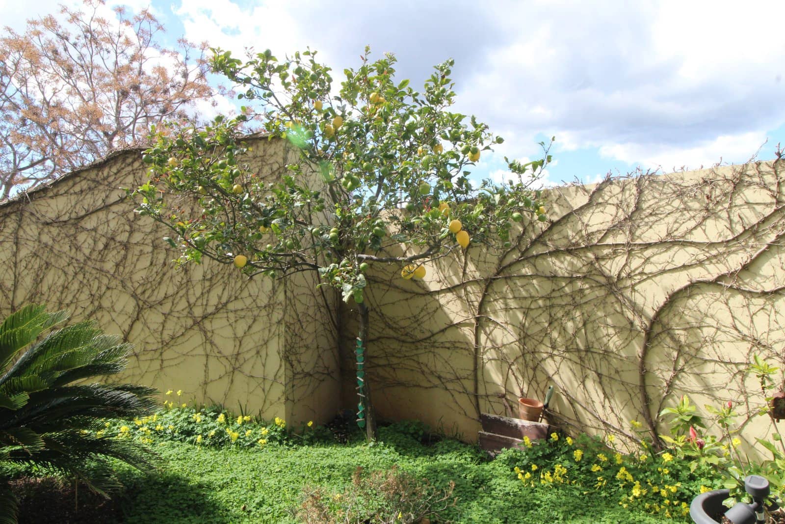 4 makuuhuone Huoneisto myytävänä paikassa Palma de Mallorca mukana uima-altaan 
autotalli - 950 000 € (Ref: 9401561)