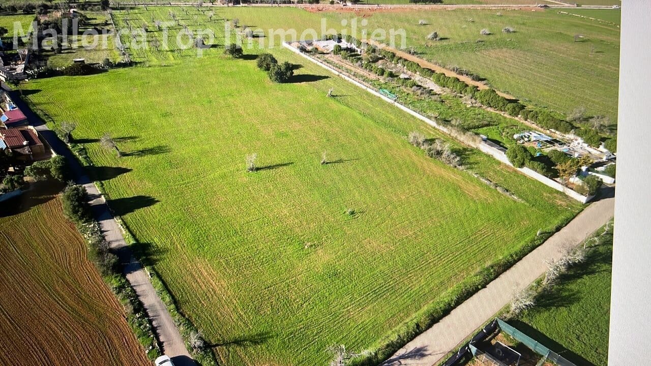 Area Edificabile in vendita in Llucmajor - 320.000 € (Rif: 9401582)