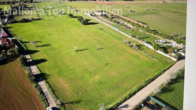 Area Edificabile in vendita in Llucmajor - 320.000 € (Rif: 9401582)