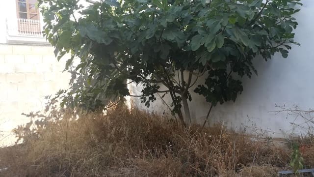 Building Plot for sale in Picanya - € 175,000 (Ref: 9255418)