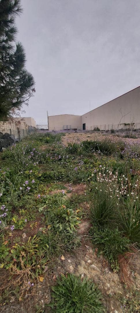 Byggetomt til salgs i Montserrat - € 99 000 (Ref: 9430769)