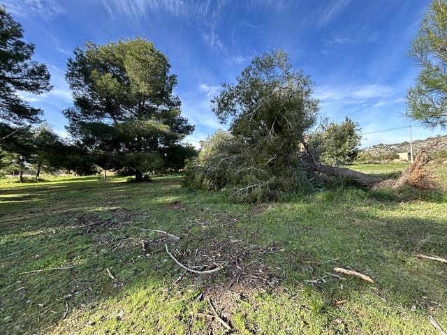 Mobile Home for sale in Torrent - € 99,000 (Ref: 9469922)