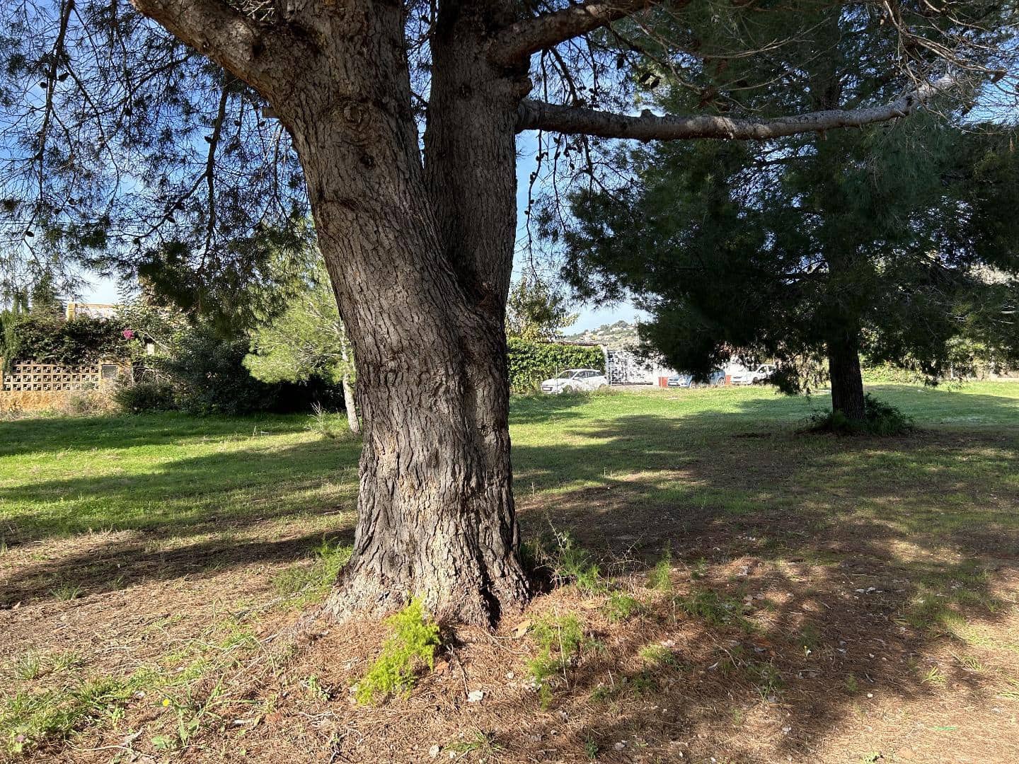 Mobile Home for sale in Torrent - € 99,000 (Ref: 9469922)