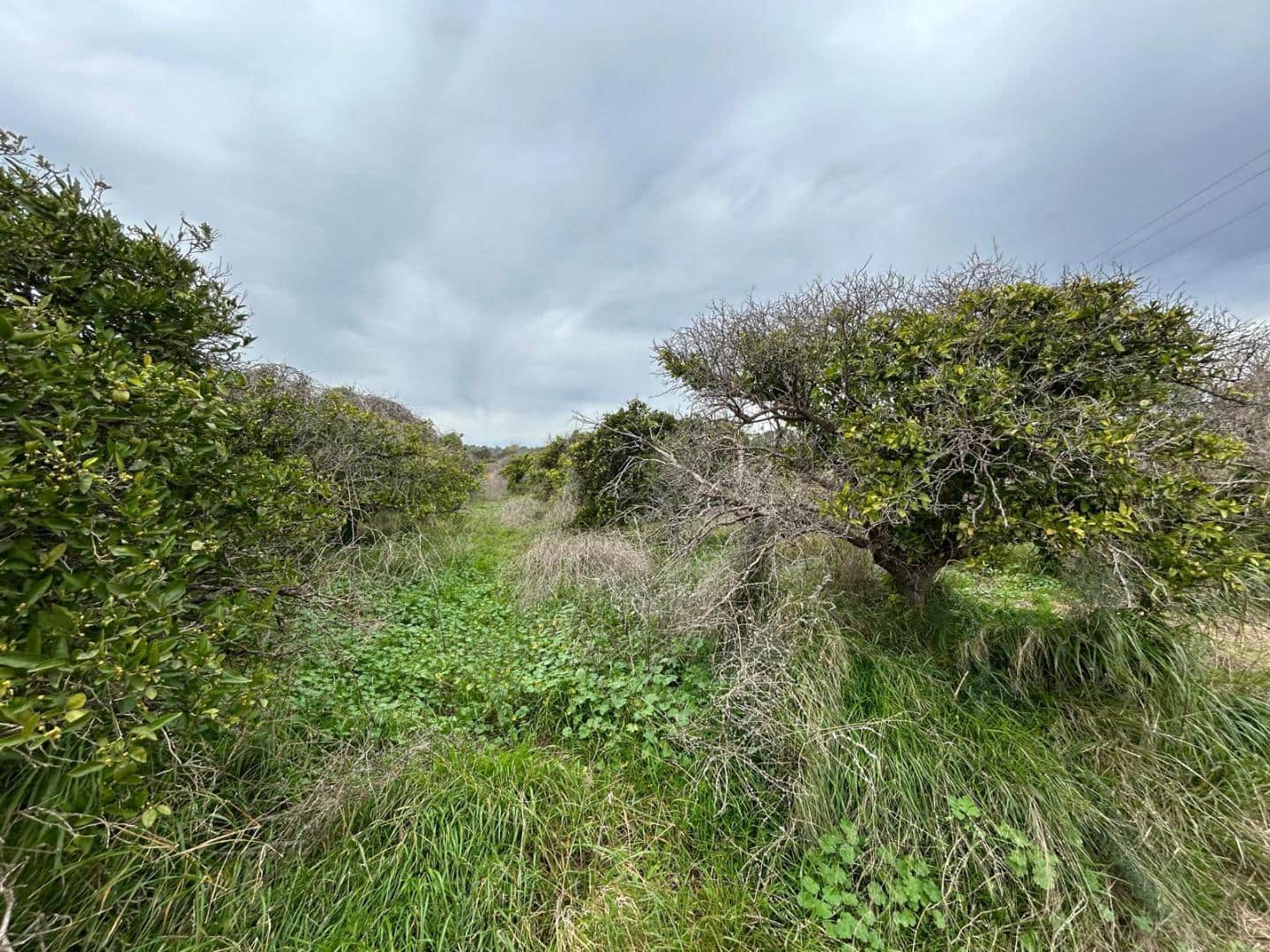 Villa for sale in Torrent with pool - € 275,000 (Ref: 9590469)