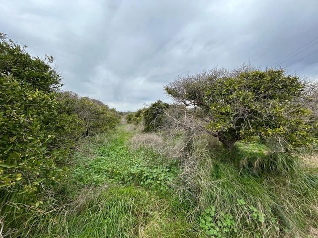 Villa in vendita in Torrent con piscina - 275.000 € (Rif: 9590469)