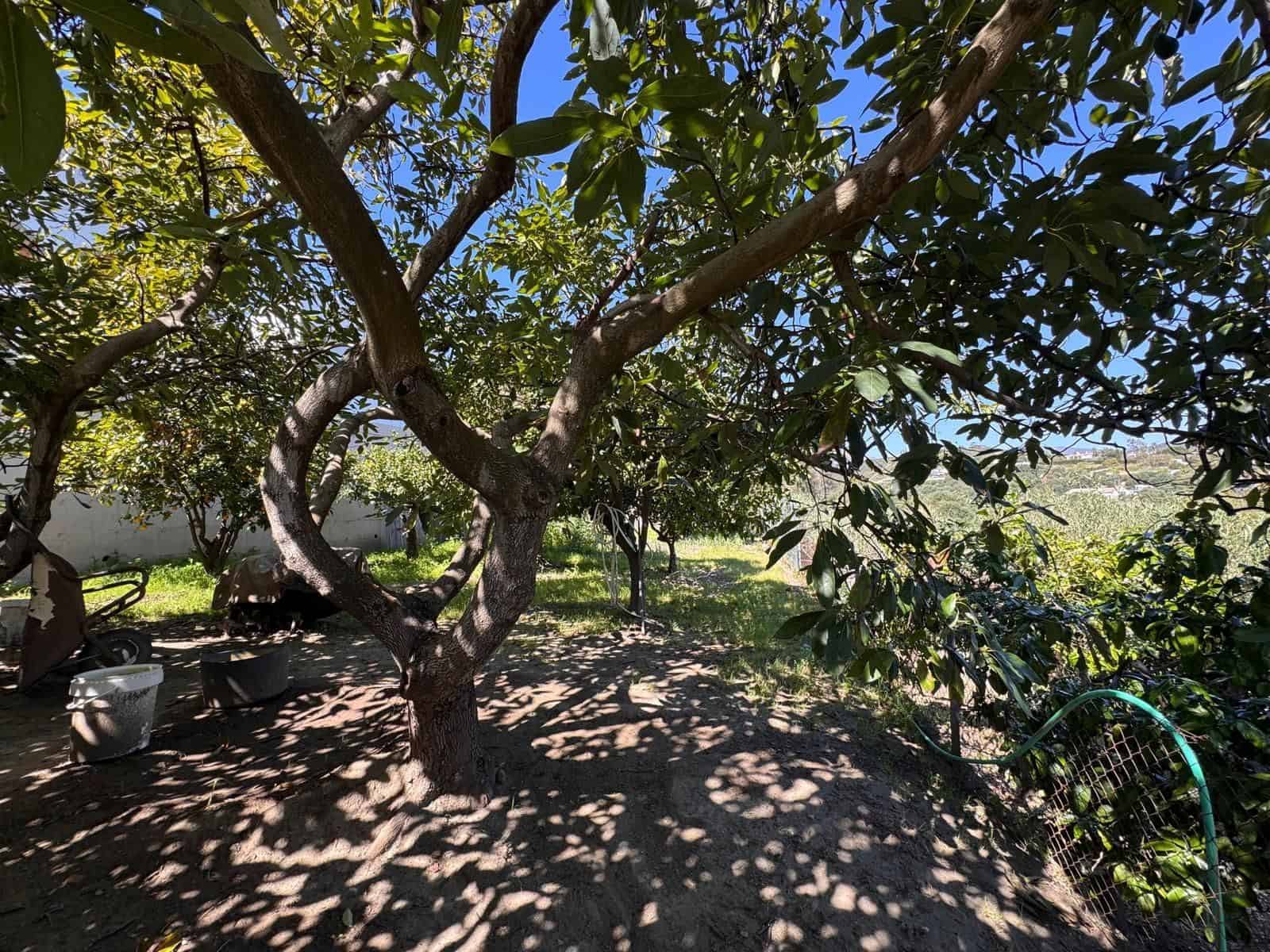 Chalet de 4 habitaciones en Estepona en venta con piscina garaje - 1.800.000 € (Ref: 9689987)