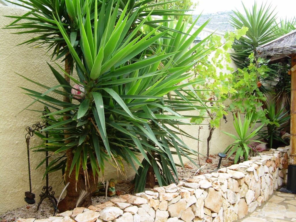 5 chambre Villa/Maison à vendre à Benitachell / Benitatxell avec piscine garage - 690 000 € (Ref: 9827286)