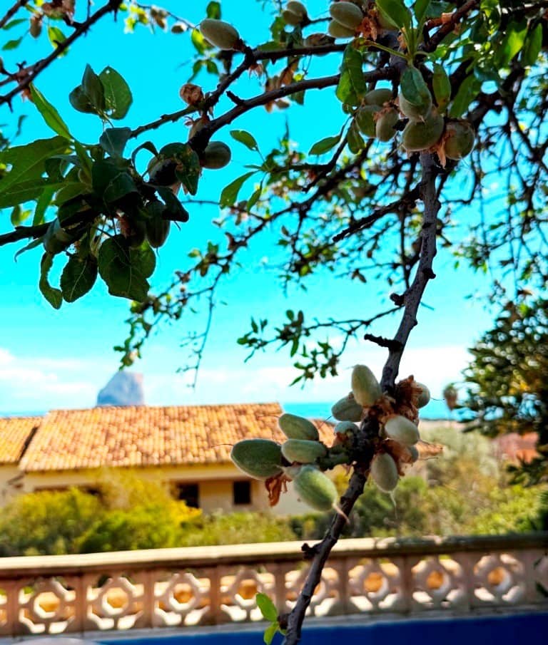 5 chambre Villa/Maison à vendre à Calpe / Calp avec garage - 645 000 € (Ref: 9827292)