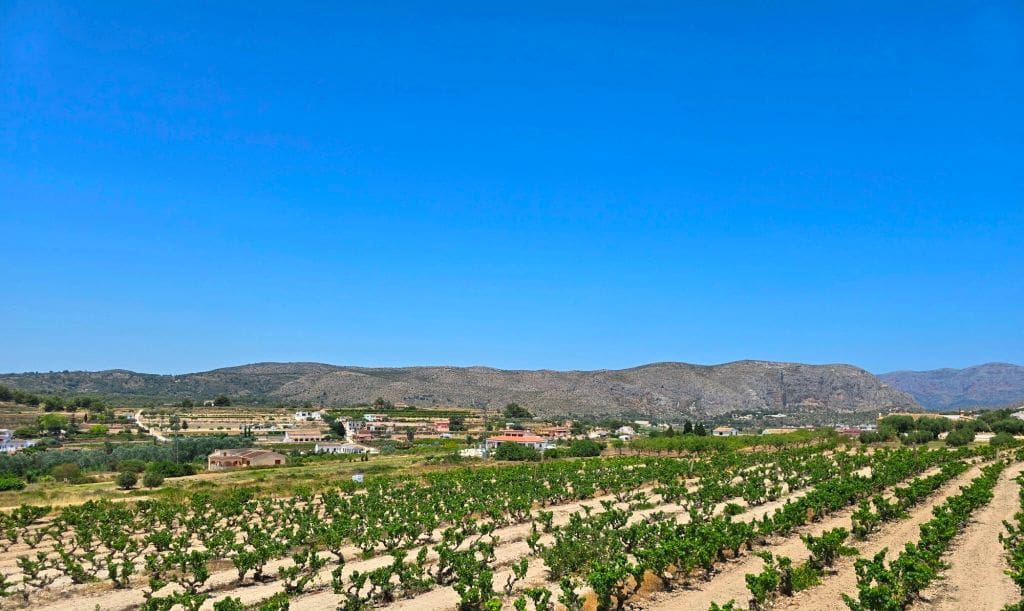 Finca/Maison de Campagne de 4 chambres à louer à Teulada avec piscine garage - 2 990 € (Ref: 9827294)