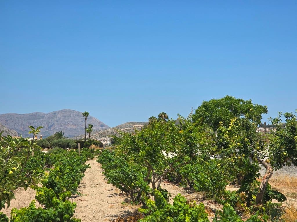 Finca/Maison de Campagne de 4 chambres à louer à Teulada avec piscine garage - 2 990 € (Ref: 9827294)