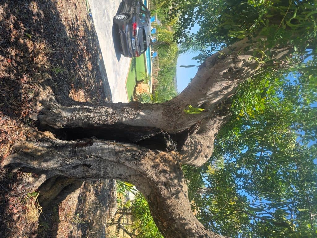 Finca/Maison de Campagne de 4 chambres à louer à Teulada avec piscine garage - 2 990 € (Ref: 9827294)