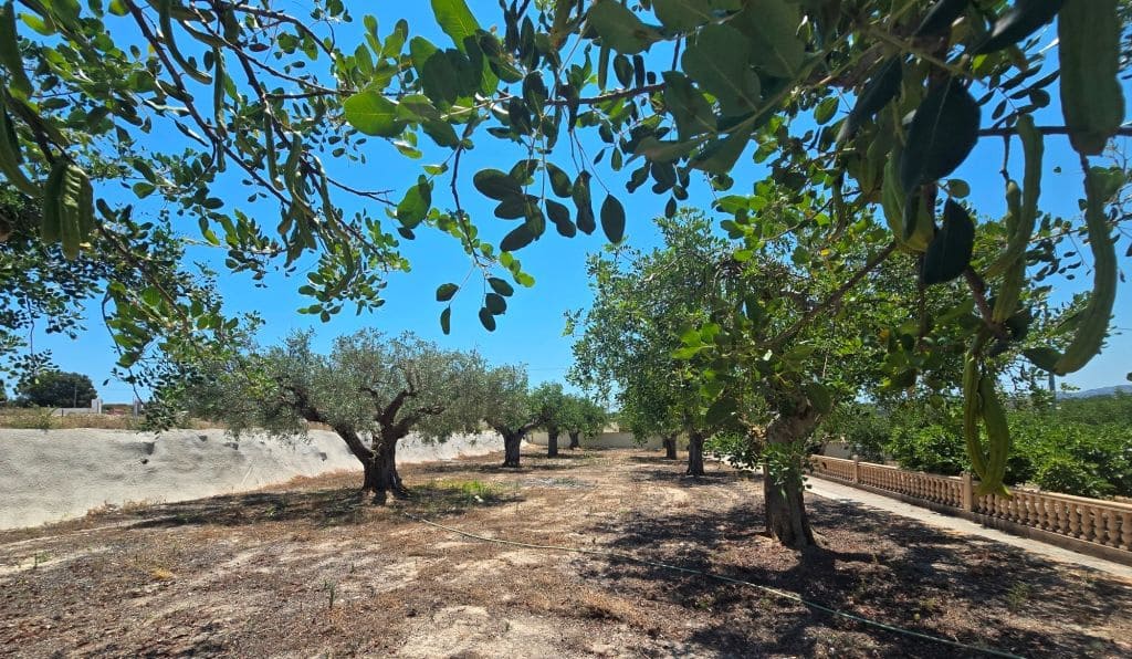 Finca/Maison de Campagne de 4 chambres à louer à Teulada avec piscine garage - 2 990 € (Ref: 9827294)