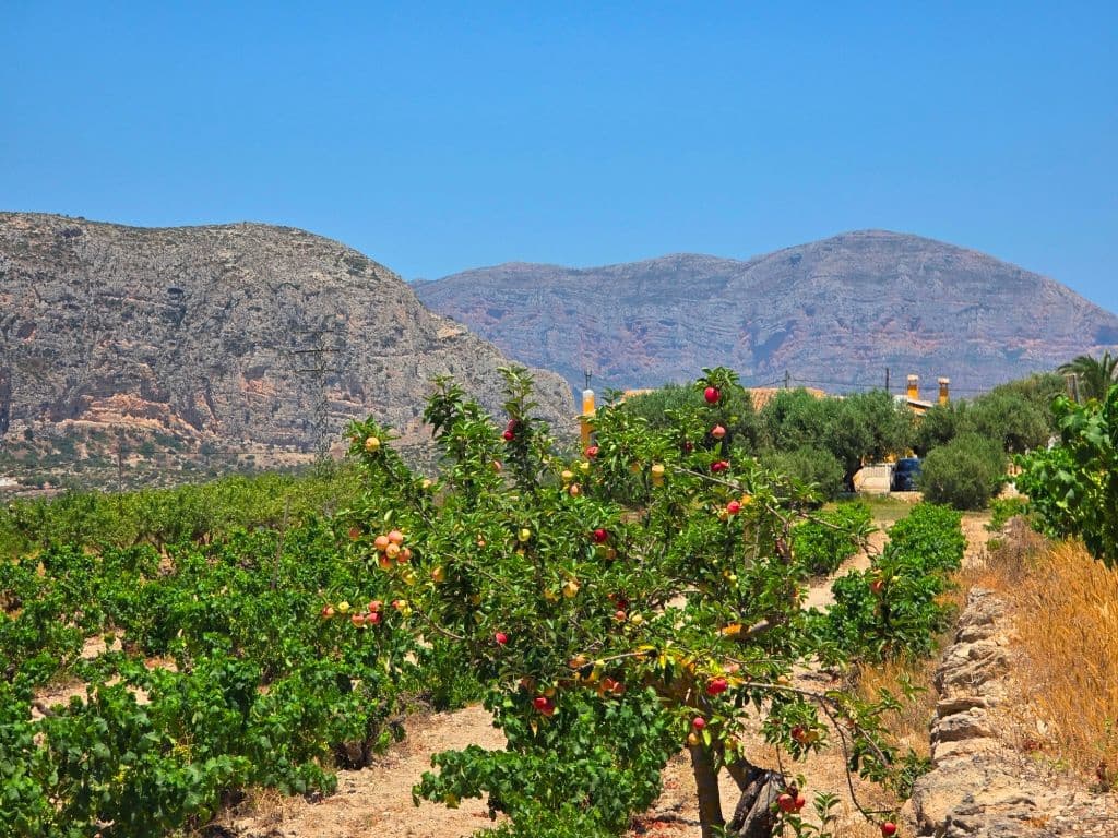 Finca/Maison de Campagne de 4 chambres à louer à Teulada avec piscine garage - 2 990 € (Ref: 9827294)